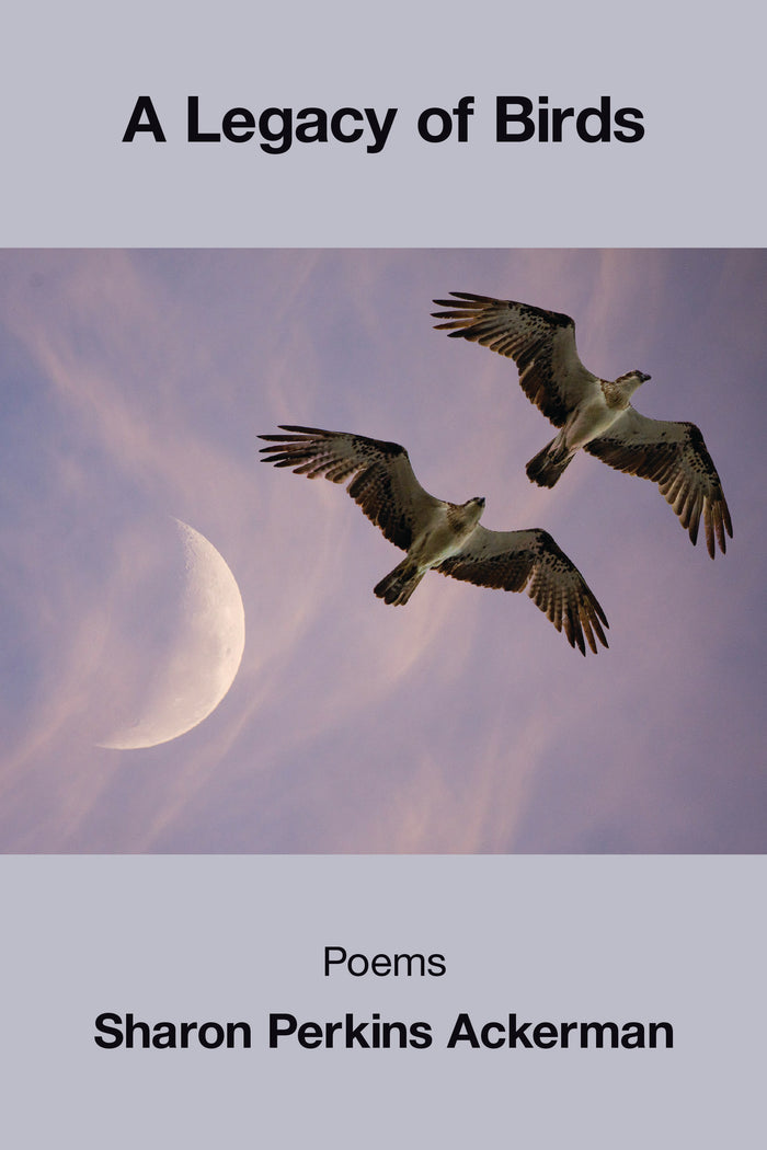 A Legacy of Birds