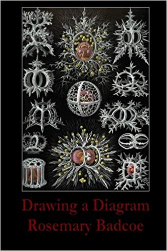 Drawing a Diagram