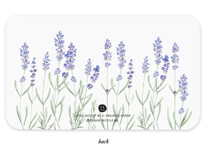 E. Frances Little Notes® - Lavender New 55 Count