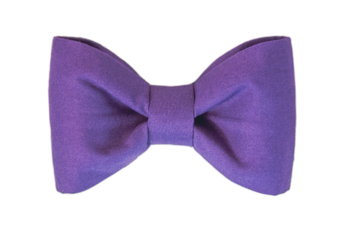 Solid purple dog bow tie, a bold, classic, and stylish accessory perfect for Halloween dress-up or everyday sophistication.