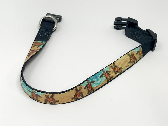 3 Baby Turtles Dog Collar