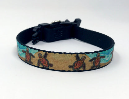 3 Baby Turtles Dog Collar