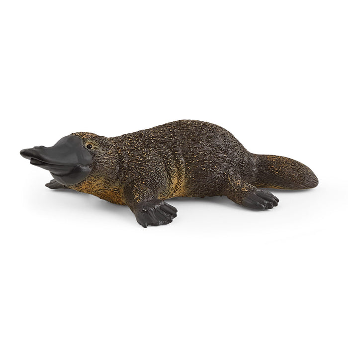 5-Piece Australian Animal Bundle