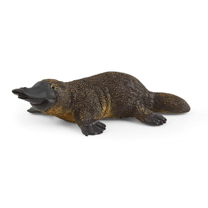5-Piece Australian Animal Bundle