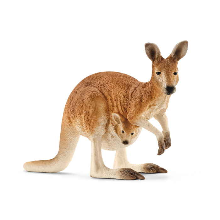 5-Piece Australian Animal Bundle