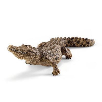 5-Piece Australian Animal Bundle