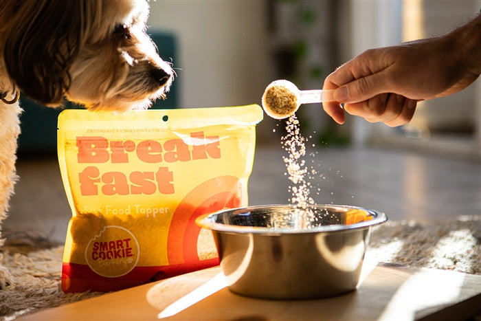 Breakfast Food Topper