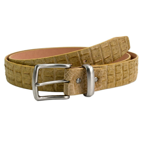 Creamy crocodile leather men's belt with brushed silver buckle coiled on white background