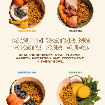 Dog Food Topper Variety Pack - 4 Flavors