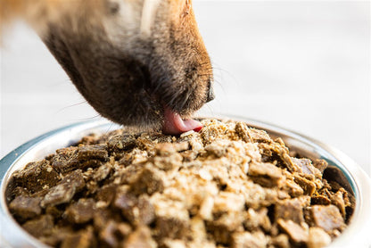 Dog Food Topper Variety Pack - 4 Flavors