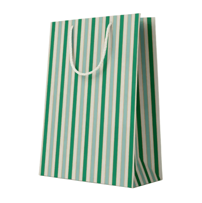 Amy Heitman Everyday Stripe Gift Bag