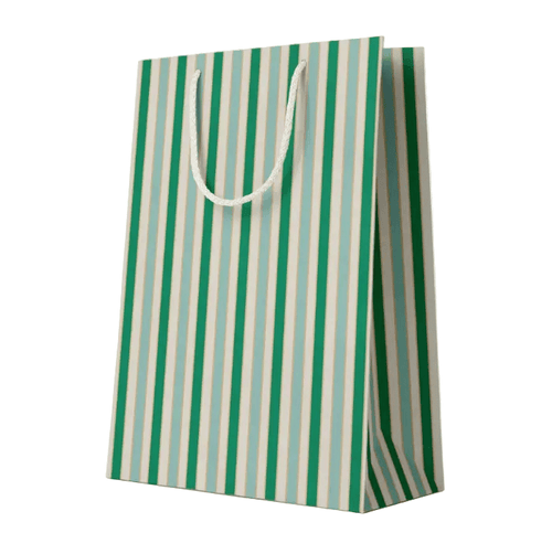 Amy Heitman Everyday Stripe Gift Bag