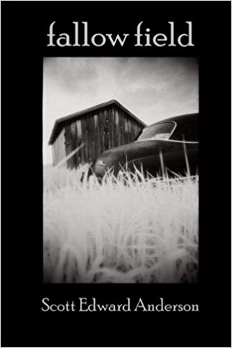 Fallow Field