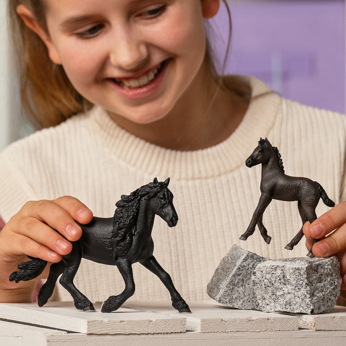 Friesian Foal