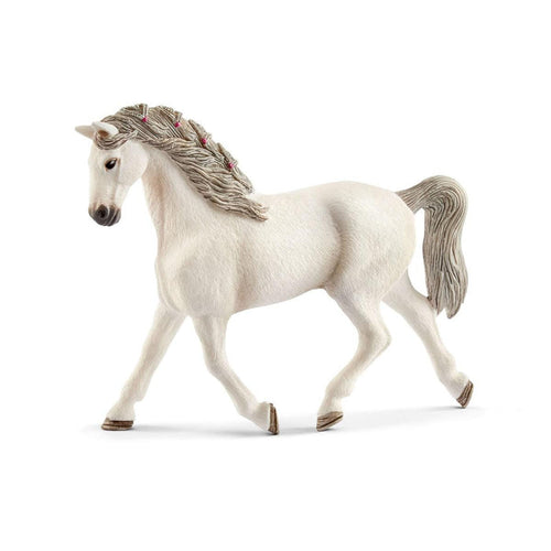 Holsteiner mare