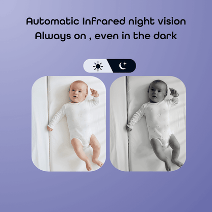 Hubble AI Vision Prime Membership