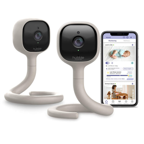 Hubble AI Vision Twin Prime Membership