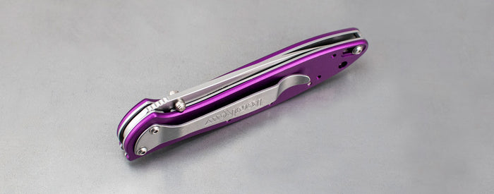 Kershaw Leek Purple Spring Assisted Knife (3" Bead Blast Plain) 1660PUR - GearBarrel.com
