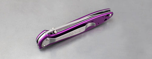 Kershaw Leek Purple Spring Assisted Knife (3" Bead Blast Plain) 1660PUR - GearBarrel.com