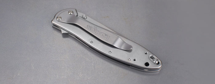 Kershaw Leek Spring Assisted Knife (3" Bead Blast Plain) 1660 - GearBarrel.com