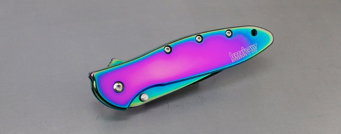 Kershaw Leek Spring Assisted Knife (3" Spectrum Plain) 1660VIB - GearBarrel.com