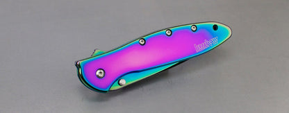 Kershaw Leek Spring Assisted Knife (3" Spectrum Plain) 1660VIB - GearBarrel.com