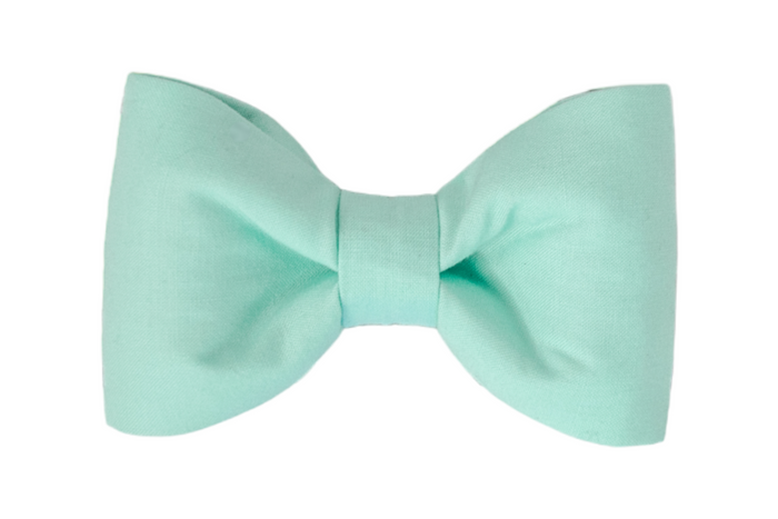 A classic dog bow tie made from solid mint green fabric with a smooth texture. The bow features soft, symmetrical loops and a neatly cinched center, creating a clean and elegant look without any patterns or embellishments.