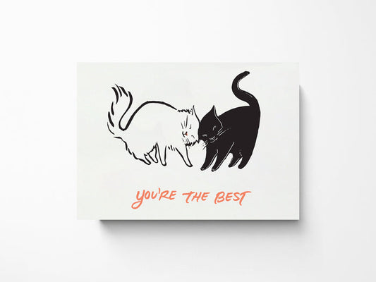 Nuzzling Cats Friendship Greeting Cards, Box of 10