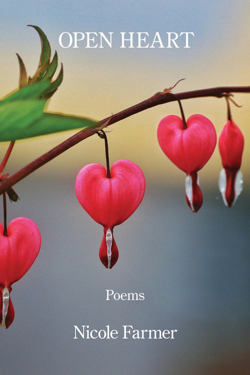 Open Heart