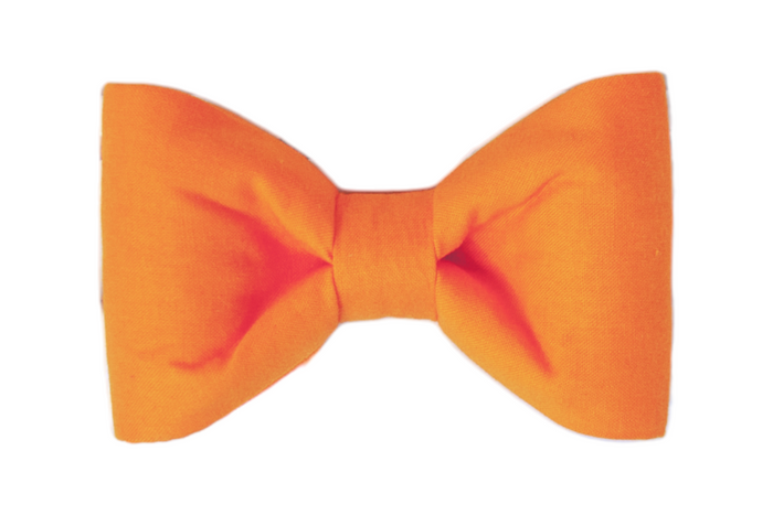Solid orange bow tie for dogs, a cheerful accessory that adds a festive pop of color for Halloween, fall gatherings, or pumpkin patch photos.