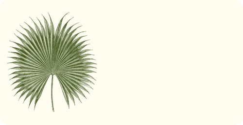 Palm Monarch Notes