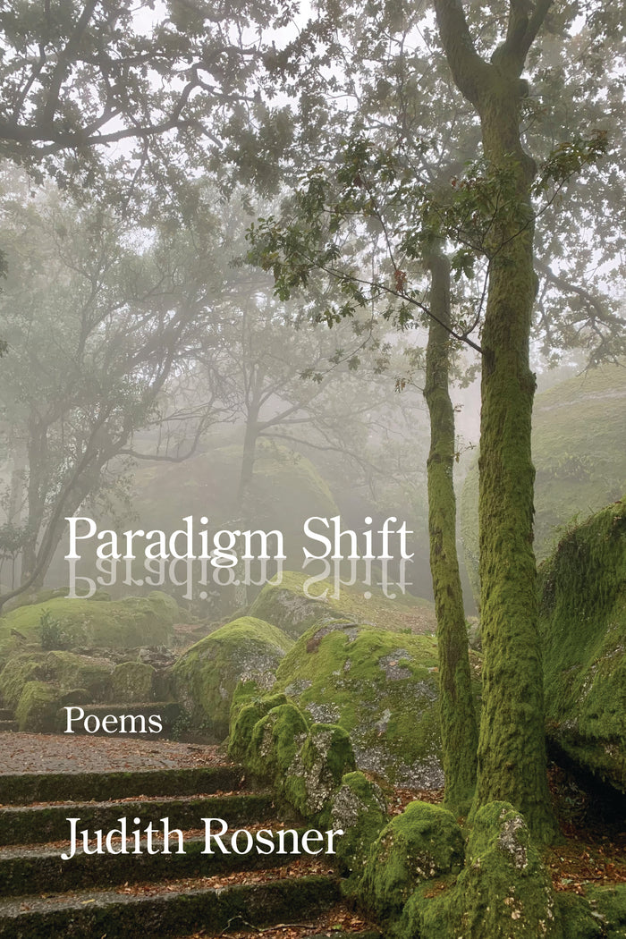 Paradigm Shift