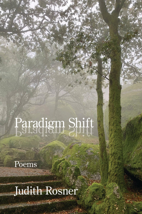 Paradigm Shift