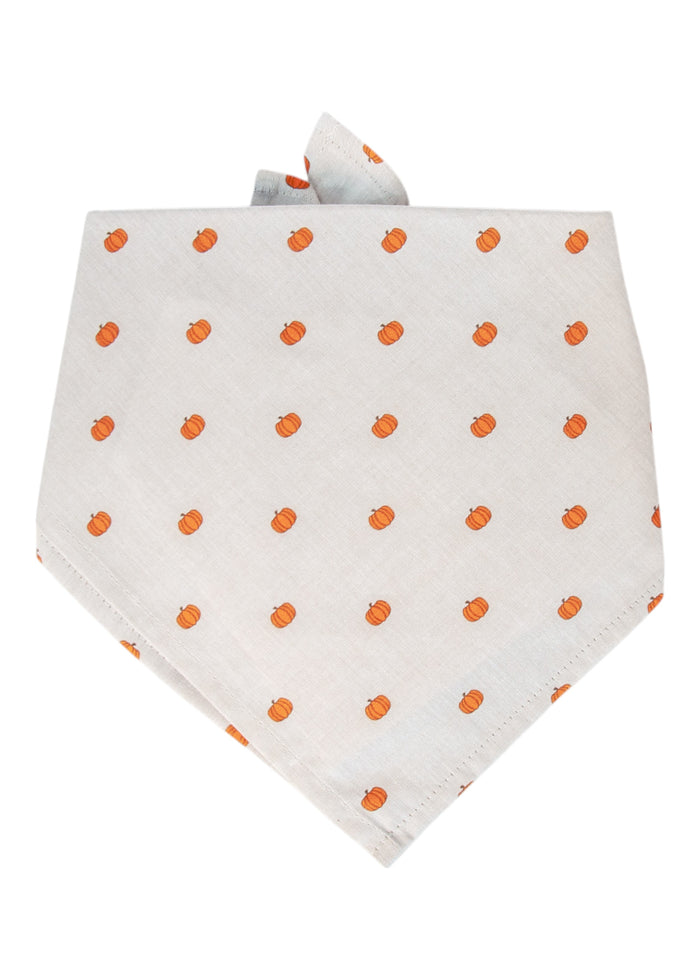 Neutral-toned dog bandana with a repetitive small pumpkin print on soft beige fabric. The classic triangular fold and tie-on design make it ideal for Halloween photos, Thanksgiving gatherings, or everyday fall flair.