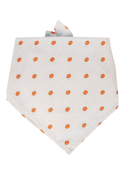 Neutral-toned dog bandana with a repetitive small pumpkin print on soft beige fabric. The classic triangular fold and tie-on design make it ideal for Halloween photos, Thanksgiving gatherings, or everyday fall flair.