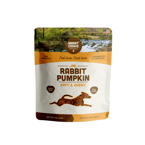 Rabbit + Pumpkin