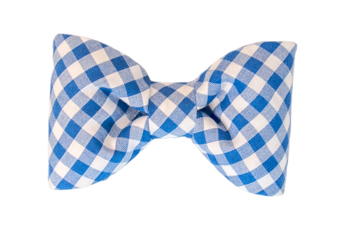 A stylish dog bow tie with a bright blue and white plaid print. The fabric is gathered at the center to form a crisp bow shape, perfect for coordinating with dog collars, leashes, bandanas, or festive outfits.