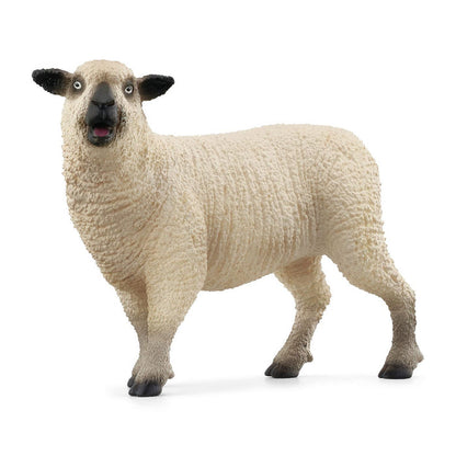 Sheep Friends