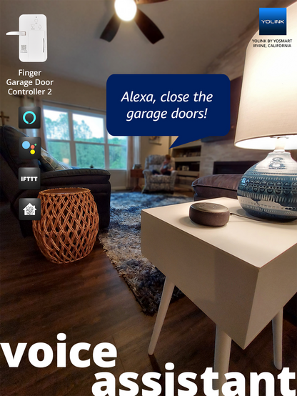 voice assistant