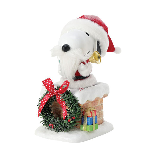 Snoopy on the Rooftop