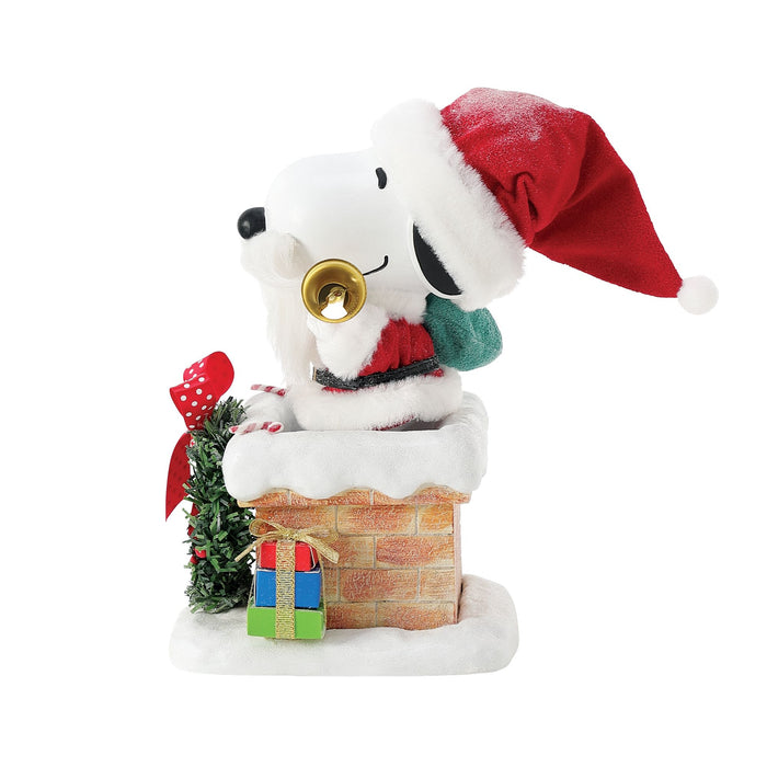 Snoopy on the Rooftop
