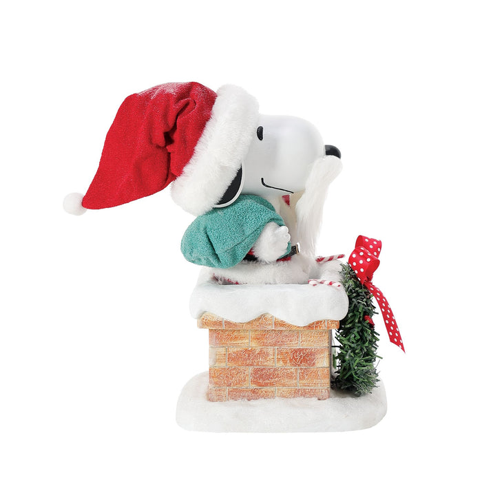 Snoopy on the Rooftop