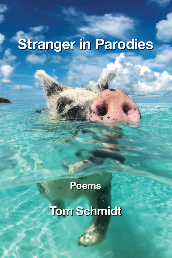 Stranger in Parodies