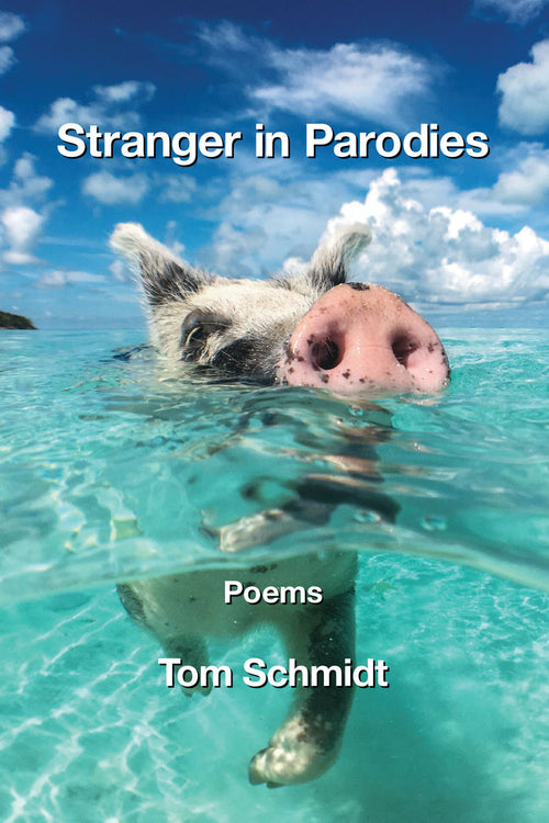 Stranger in Parodies