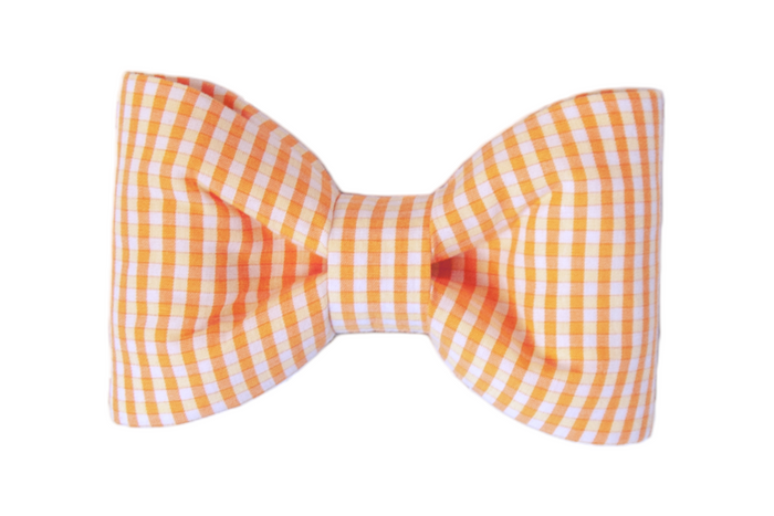 Sunny Gingham Bow Tie - Crew LaLa