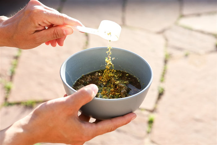 Superfood Food Topper