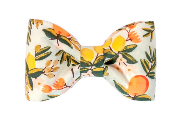 Fresh-picked style for your four-legged friend! This classic dog bow tie showcases a lively citrus and floral pattern  and soft foliage on a light pastel background.