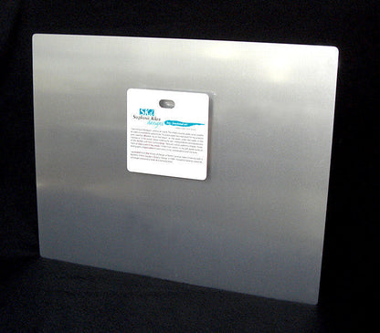 Triggerfish Aluminum Wall Art
