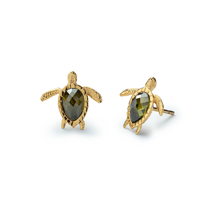Turtle Ohrring Gold