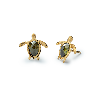 Turtle Ohrring Gold